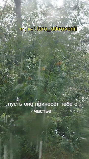 для тебя