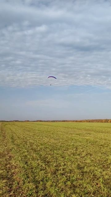 VID_20251011_121746_218.mp4