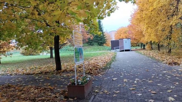 И снова песня в осеннем парке.🙋Буйство красок😄.