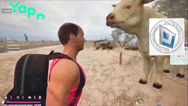 Смешной момент из игры Амвей921 (Amway921) и Хрустика (XrustKorpusov), встретив корову в воздухе.