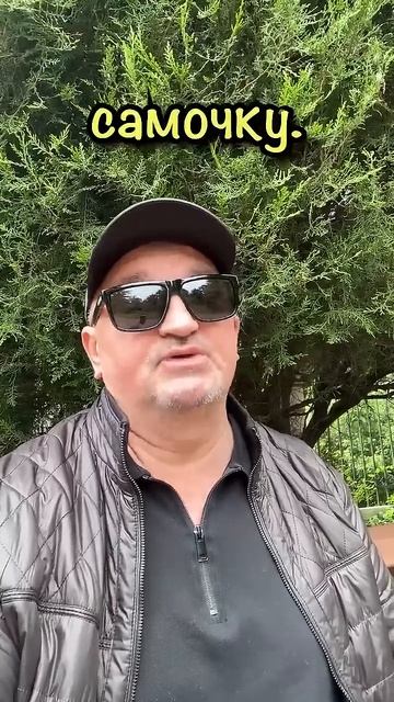 притча Про льва и обезьяну