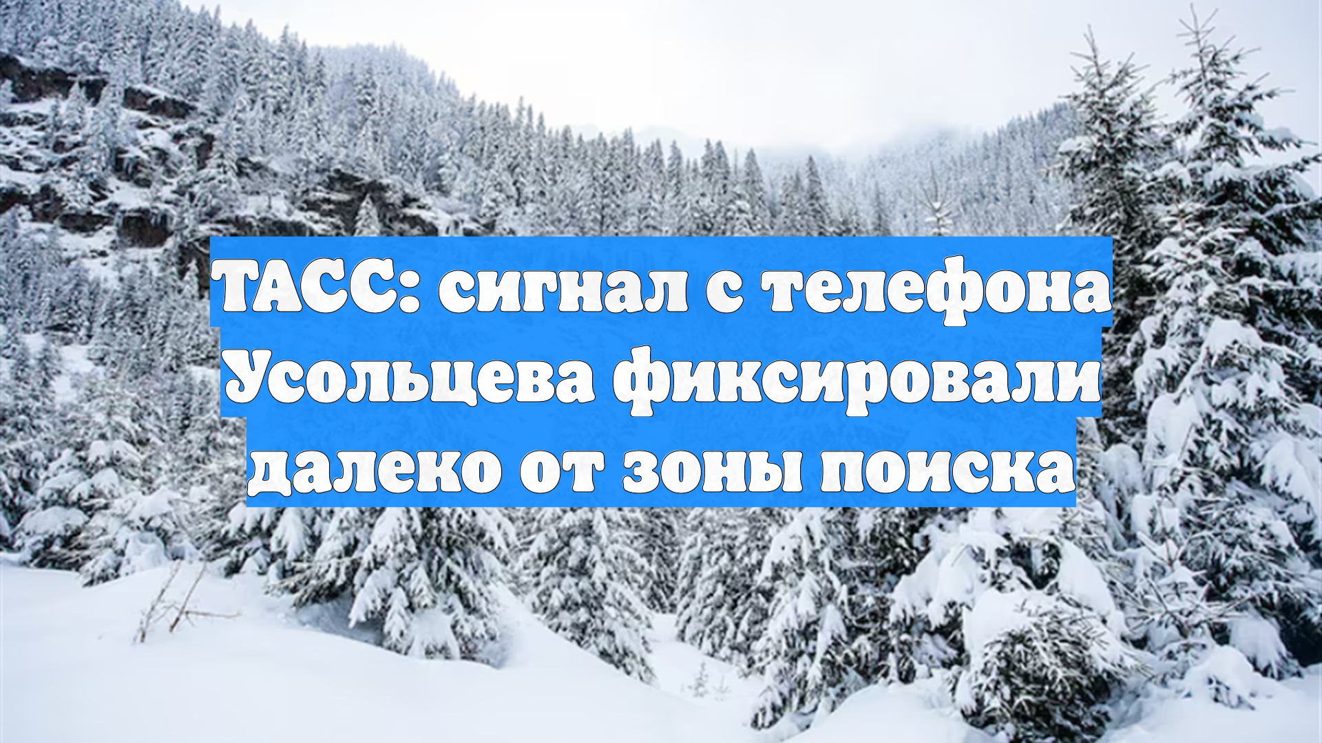 ТАСС: сигнал с телефона Усольцева фиксировали далеко от зоны поиска