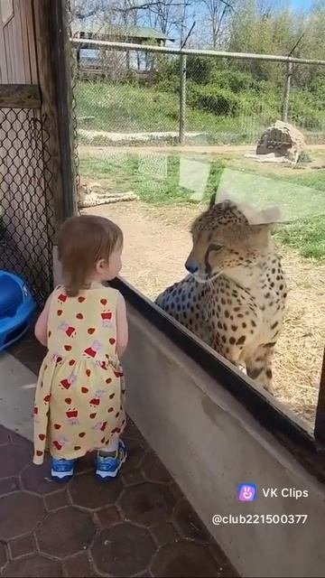 VID_20251012_075745_125.mp4