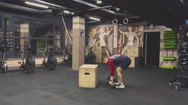 Берпи с перешагиванием коробки с гантелями  Dumbbell burpee box step overs