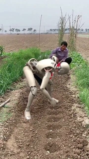 Вкалывают роботы, Счастлив человек!