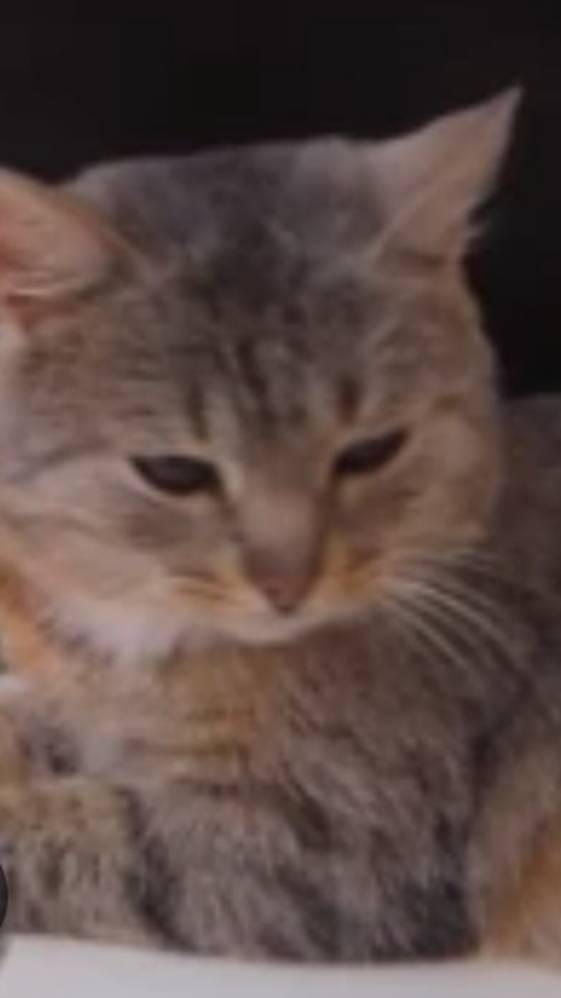 😨😨😨😨🙀🙀🙀🙀