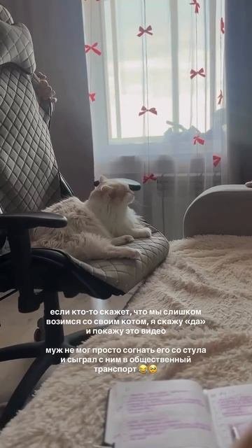 Следующая остановка: пожрать