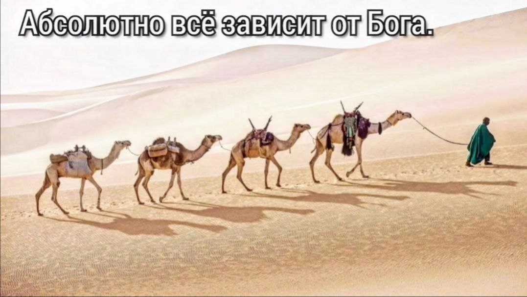 Все зависит от Бога.Иак 4.13-17.Библия.