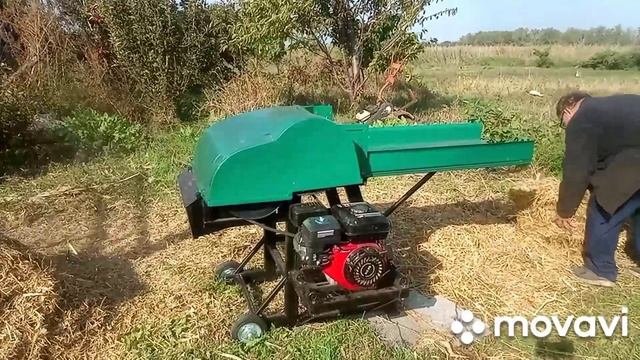 1000009966.mp4