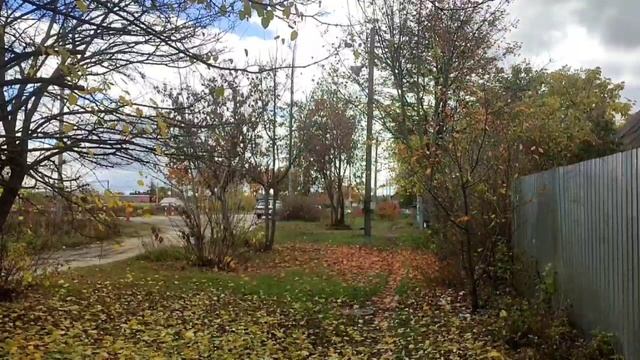 VID_20251012_140528_689