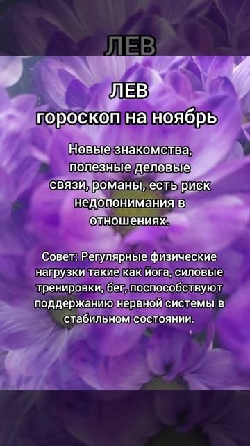 ЛЕВ гороскоп на ноябрь 2025