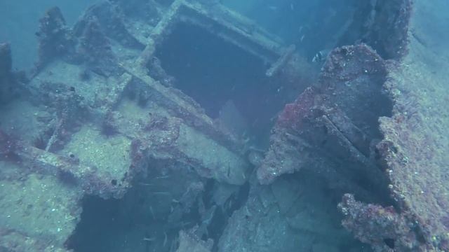 рэк дайвинг neptune дайв сайт дайвинг в Дубае Эмираты