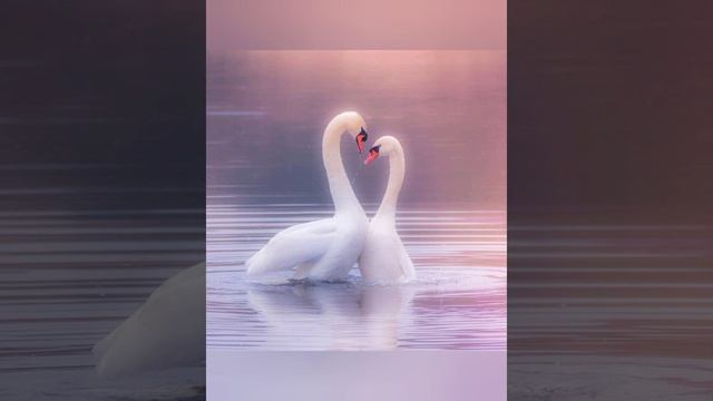 Песня ,,Принцесса Натали,,стихи.Наталья Царева.