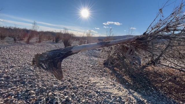 Сила реки