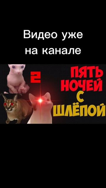 Scene_output.mp4