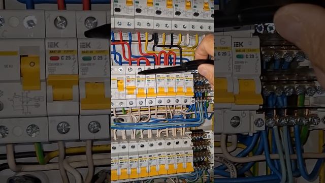 1000037037.mp4 (Собака смотрит на монтаж электропроводки (в э/щите) в доме А-фрейм - ЛАЙФХАКИ)