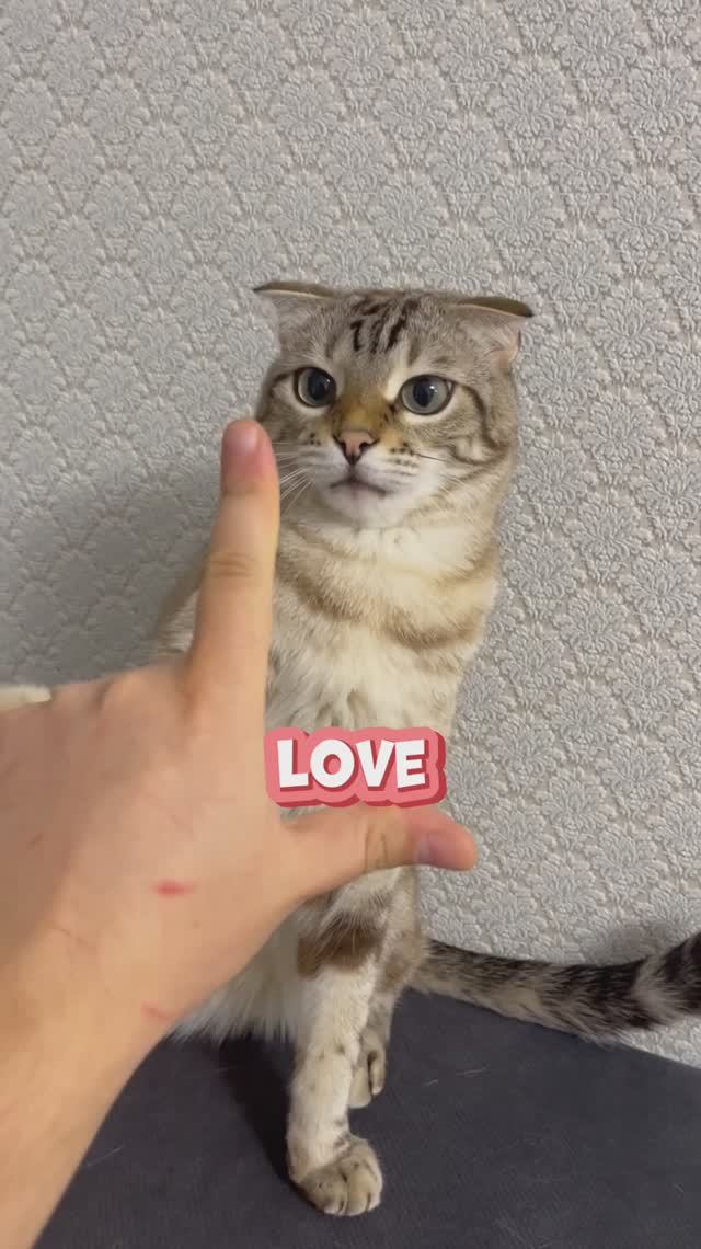 L❤️O❤️V❤️E