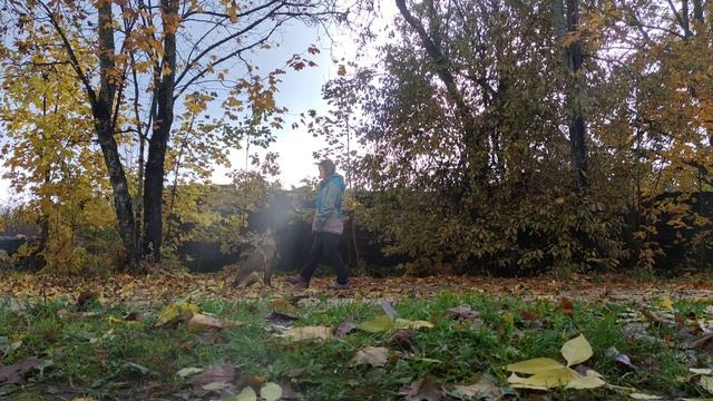 Сидеть. Оверолл