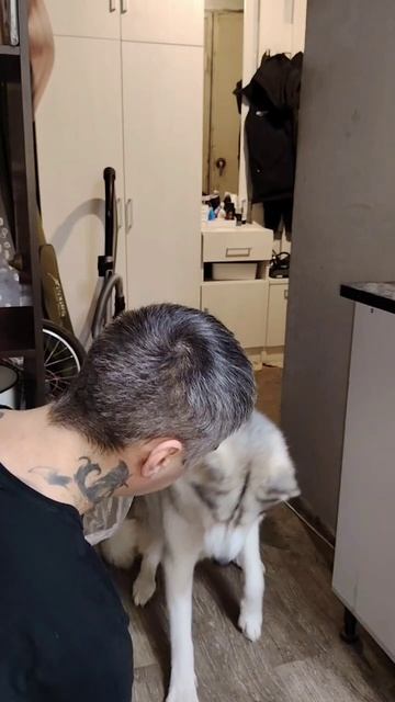 Все за вкусняшку 😊