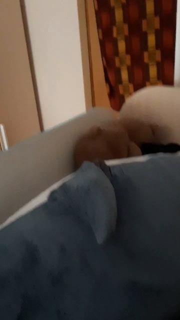 МОЙ ВТОРОЙ ЭДИТ/