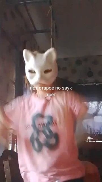 котёнок