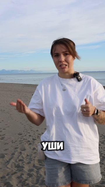 Нужна ли одежда собаке?