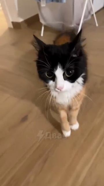 1000049879.mp4