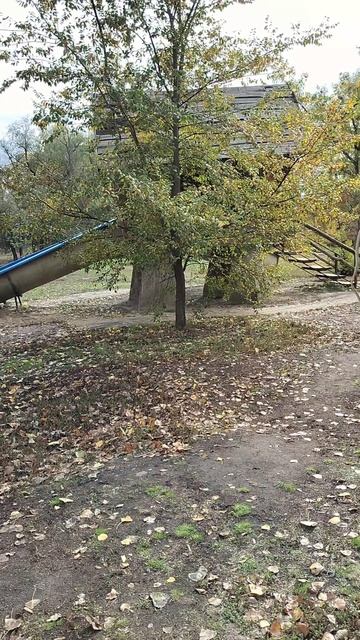 Избушка бабки Ежки