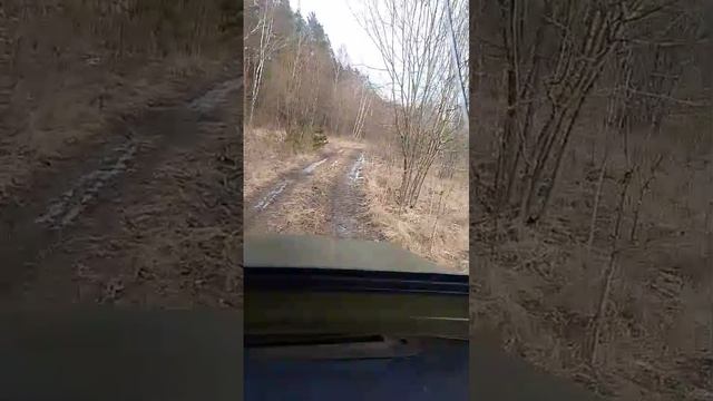 1000001552.mp4
