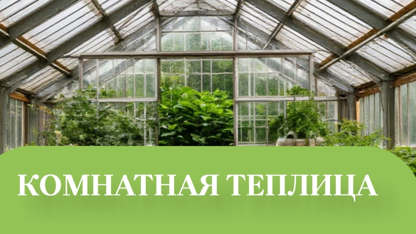В КОМНАТНОЙ ТЕПЛИЦЫ ГЛАВНОЕ ВЛАЖНОСТЬ.