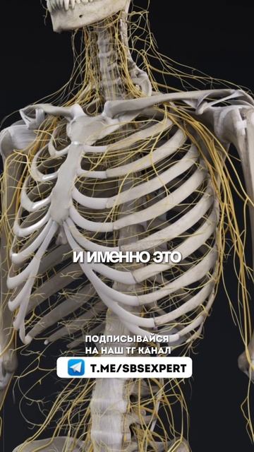 Почему с возрастом вес растет? Смотри до конца здоровье похудение