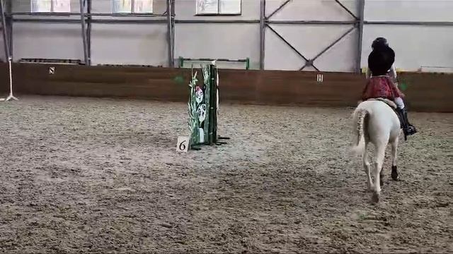 мои соренования