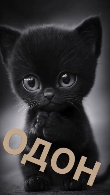 0001