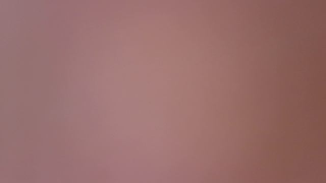 1000002490.mp4