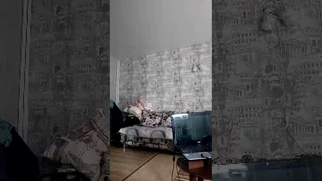 проснулся
