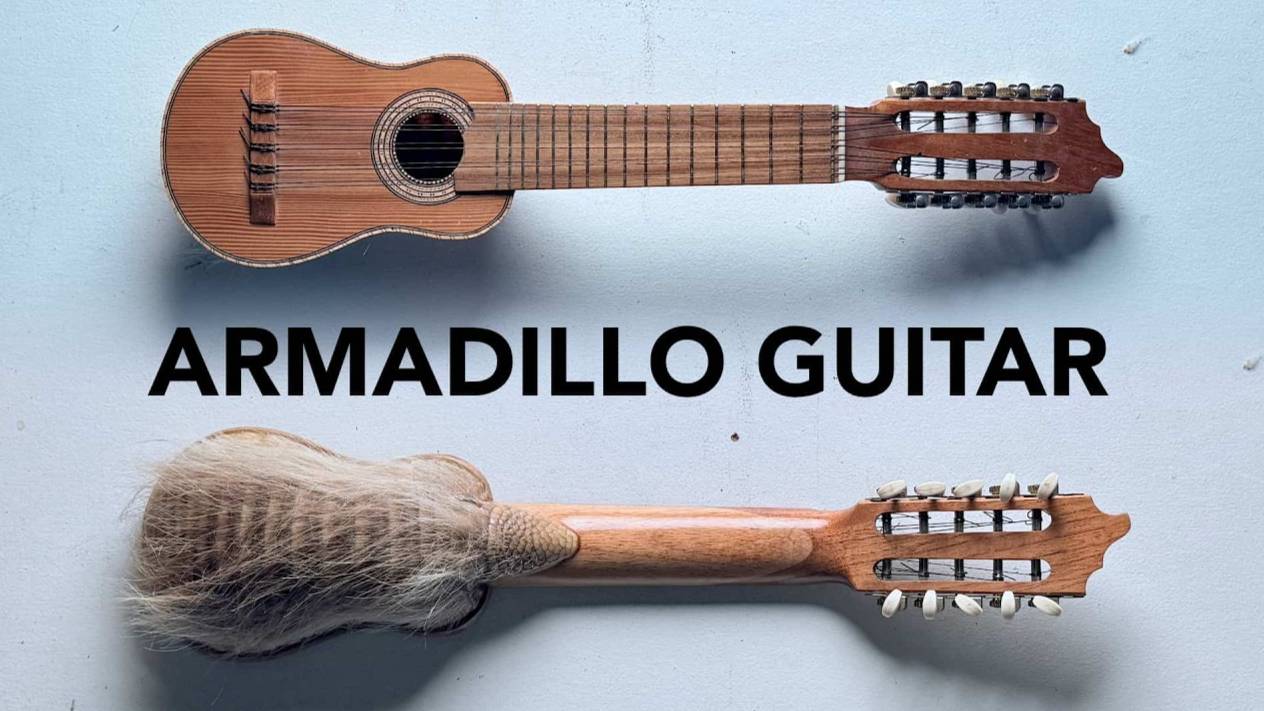 Charango Armadillo: Guitar Of Andes