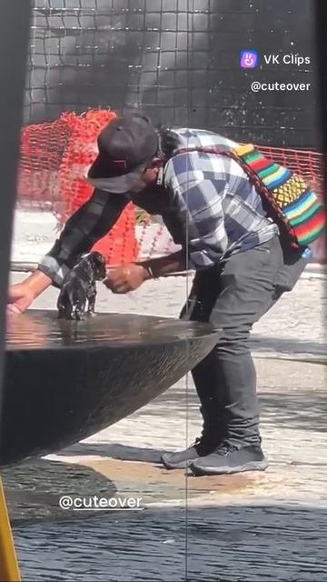 VID_20251012_075653_768.mp4