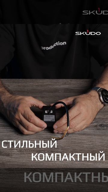 Считыватель карт SK-RP100E черный для СКУД - SKUDO