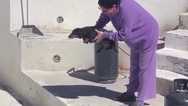 Любитель плавать на сухую🏊😂