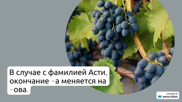 Фамилия Асти: история, происхождение и склонение - погружаемся в глубины этой интригующей фамилии