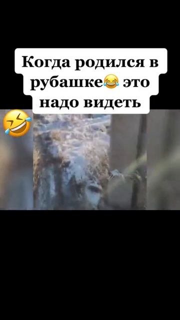 Зима близко😂