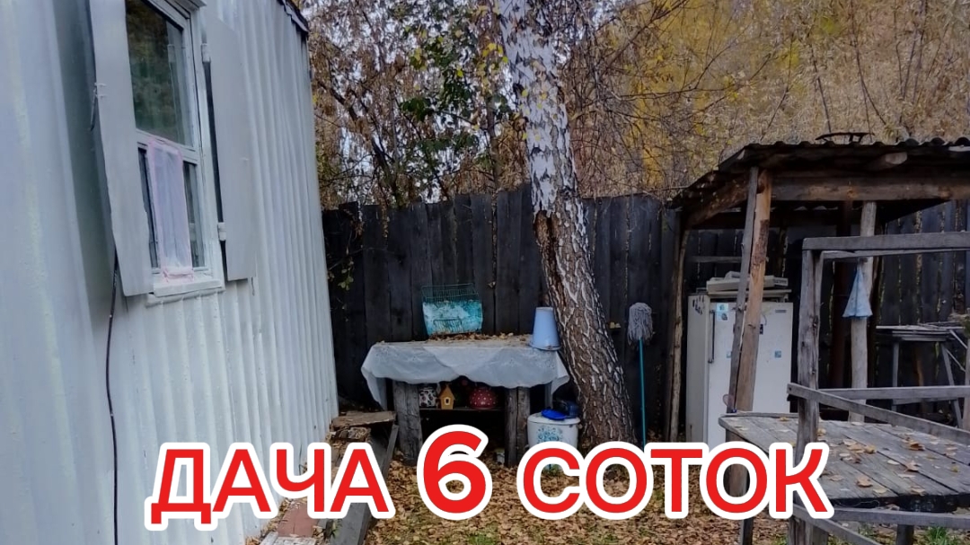 ДАЧА 6 СОТОКПОБЕЛКА ДЕРЕВЬЕВЗАБРОШЕННАЯ ДАЧА