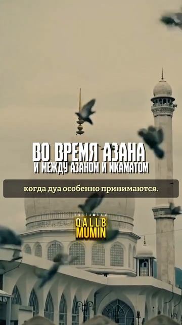 5-моментов когда АЛЛАХ ближе.....