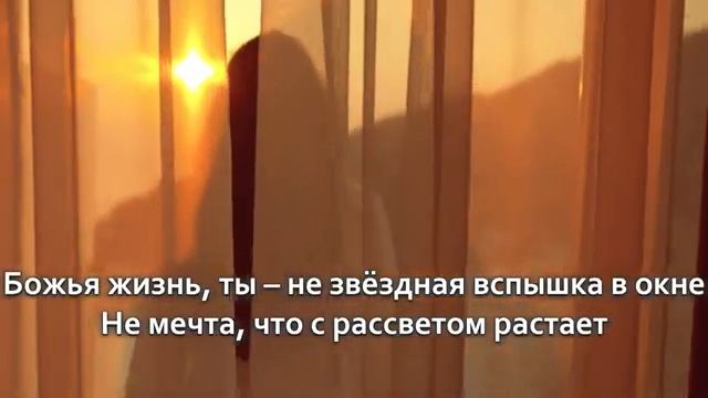 🎶Настоящая жизнь — океан световой