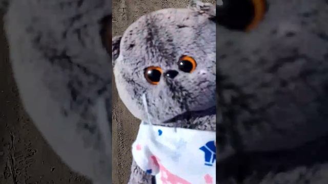 БАСИК ГУЛЯЕТ ОСЕНЬЮБудни Дани
