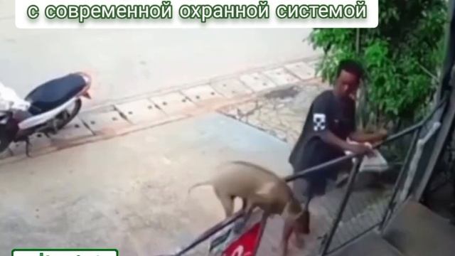 Правда или ложь? Разбираемся в мире недвижимости!