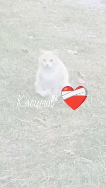 /КАСИМОВ CORE/Просто видио про Касимов/