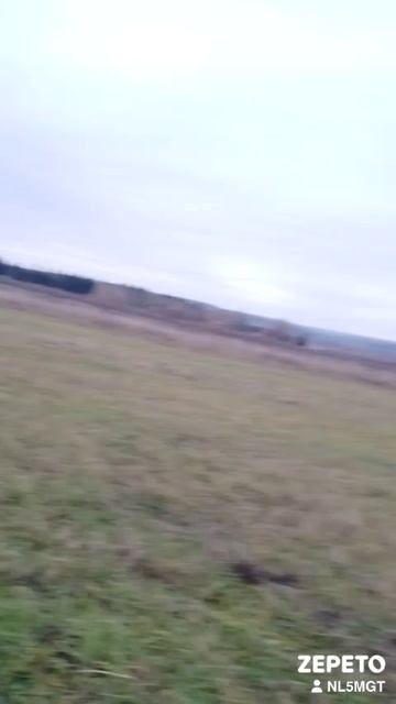 1000006775.mp4