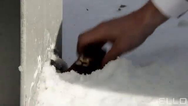 1000014407.mp4