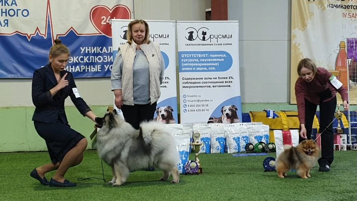 11.10.2025, СПб. Клуб 
